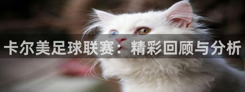 168全国开奖网地址