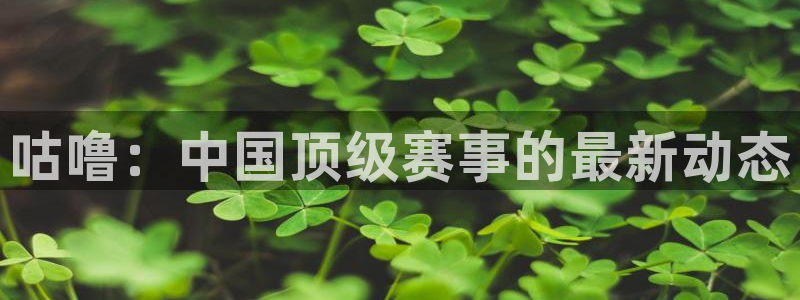 168全国开奖网代理