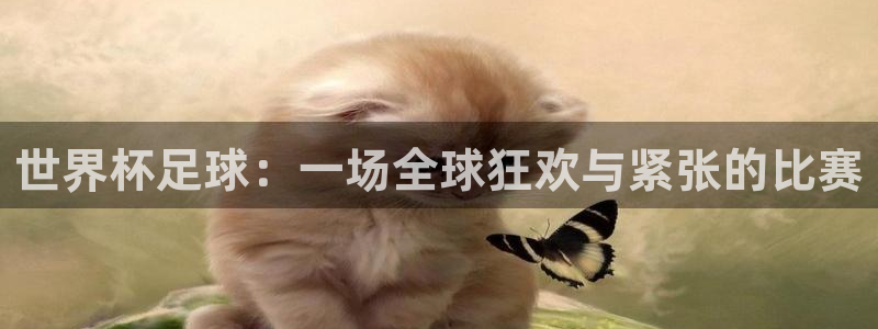 168全国开奖网入口