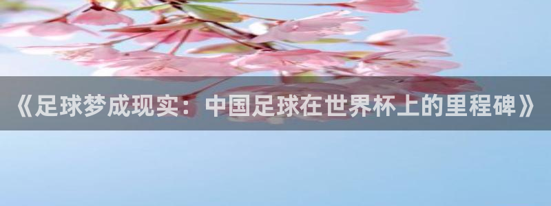 168全国开奖网代理
