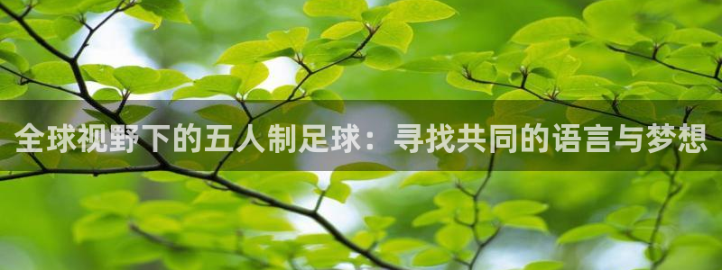 168全国开奖网官网