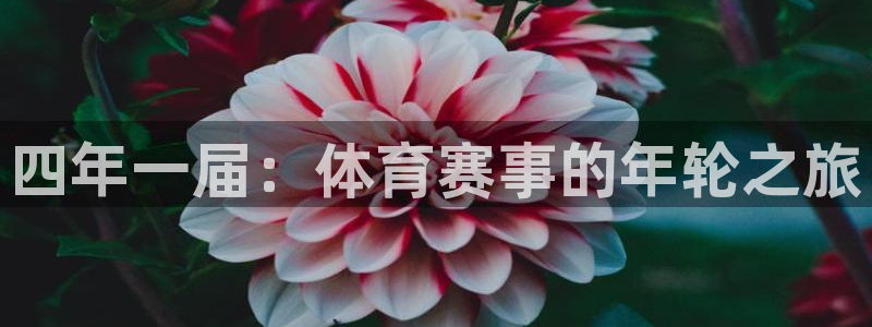 168全国统一开奖网app
